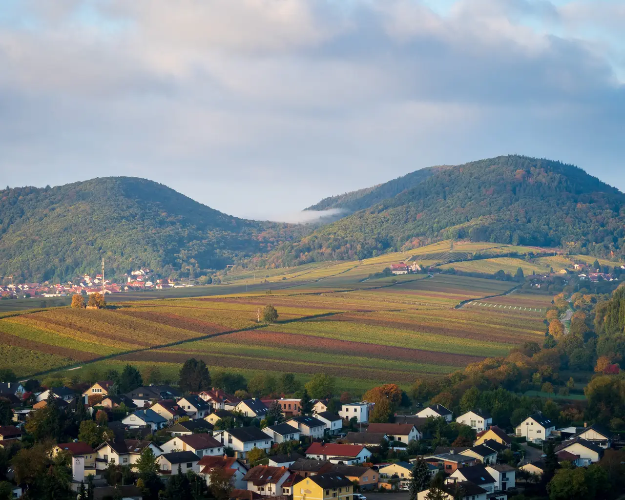 PA180377.BzMzKRyv Z1fgHyK