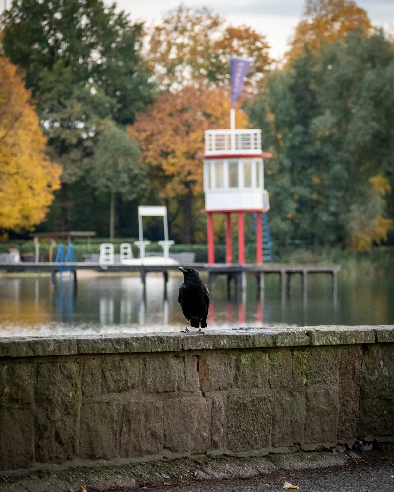 PA260729.C2oyDq 6 Z1C12iT